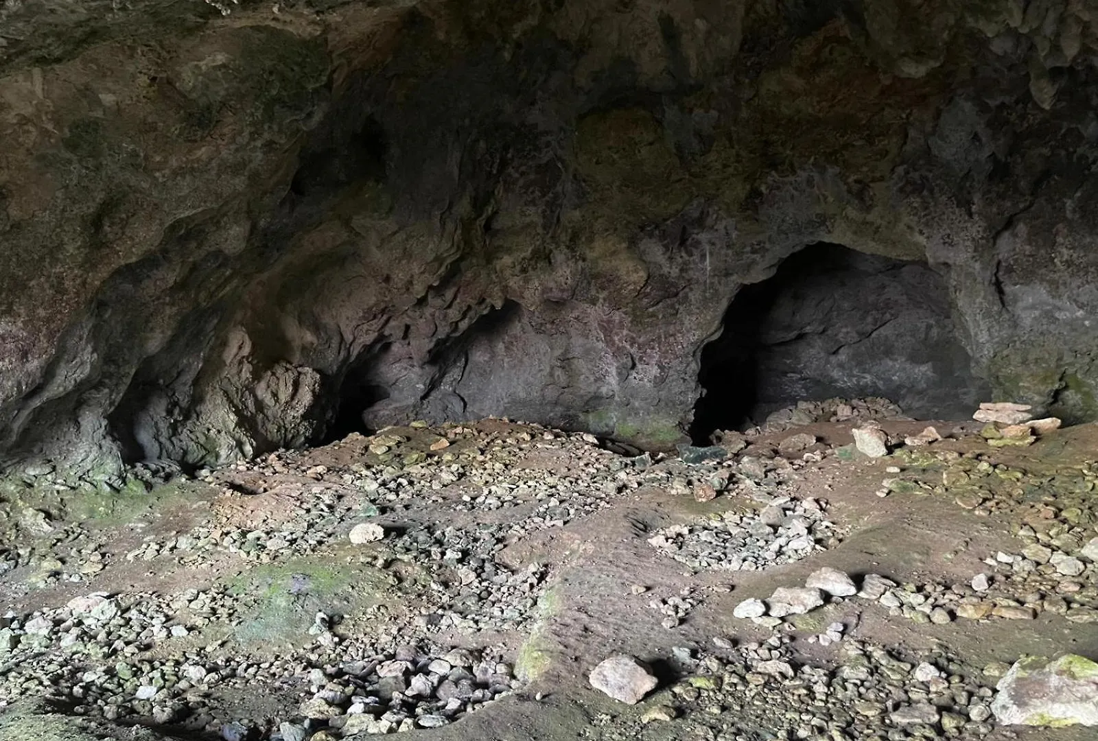 La Torretta - Incantevole Appartamento Nei Colli Berici Nanto Apartmán