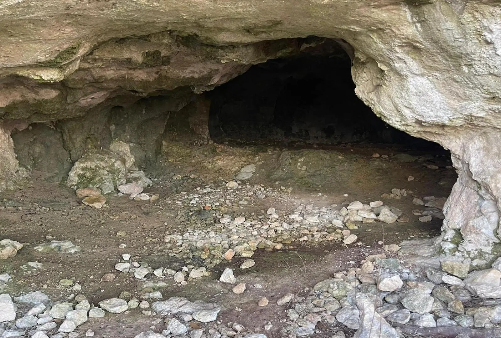 La Torretta - Incantevole Appartamento Nei Colli Berici Nanto