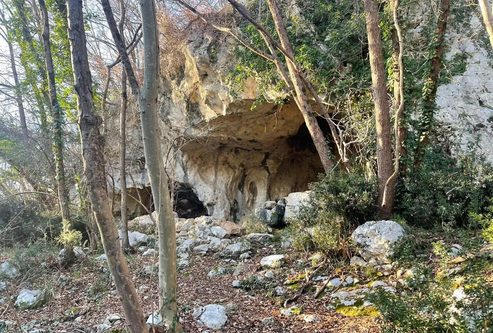 La Torretta - Incantevole Appartamento Nei Colli Berici Nanto Italia
